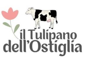 tulipano logo